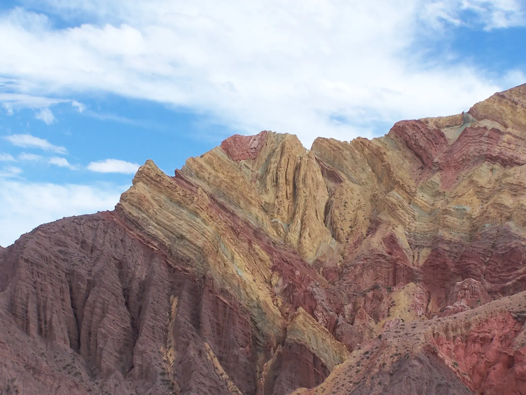 Folded sedimentary succession exposed in the field
