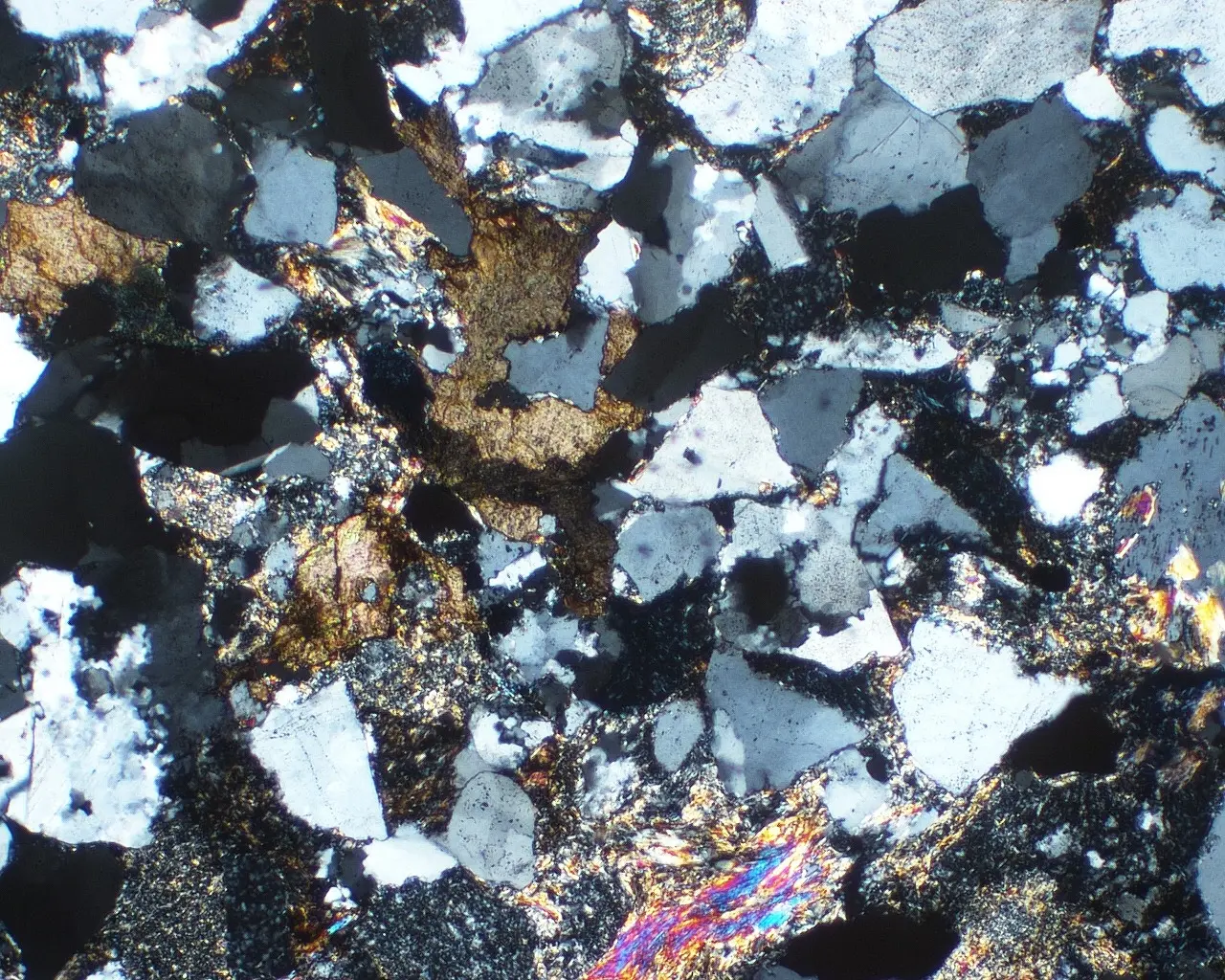Rock thin section under crossed polarized light
